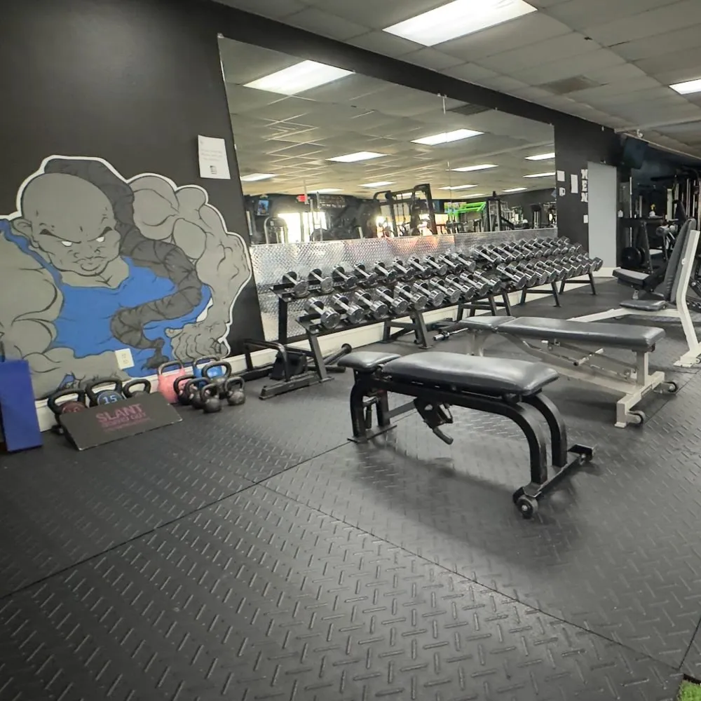 Benches under the Momentum mascot mural