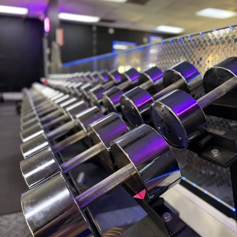 A rack of chrome dumbbells at Momentum