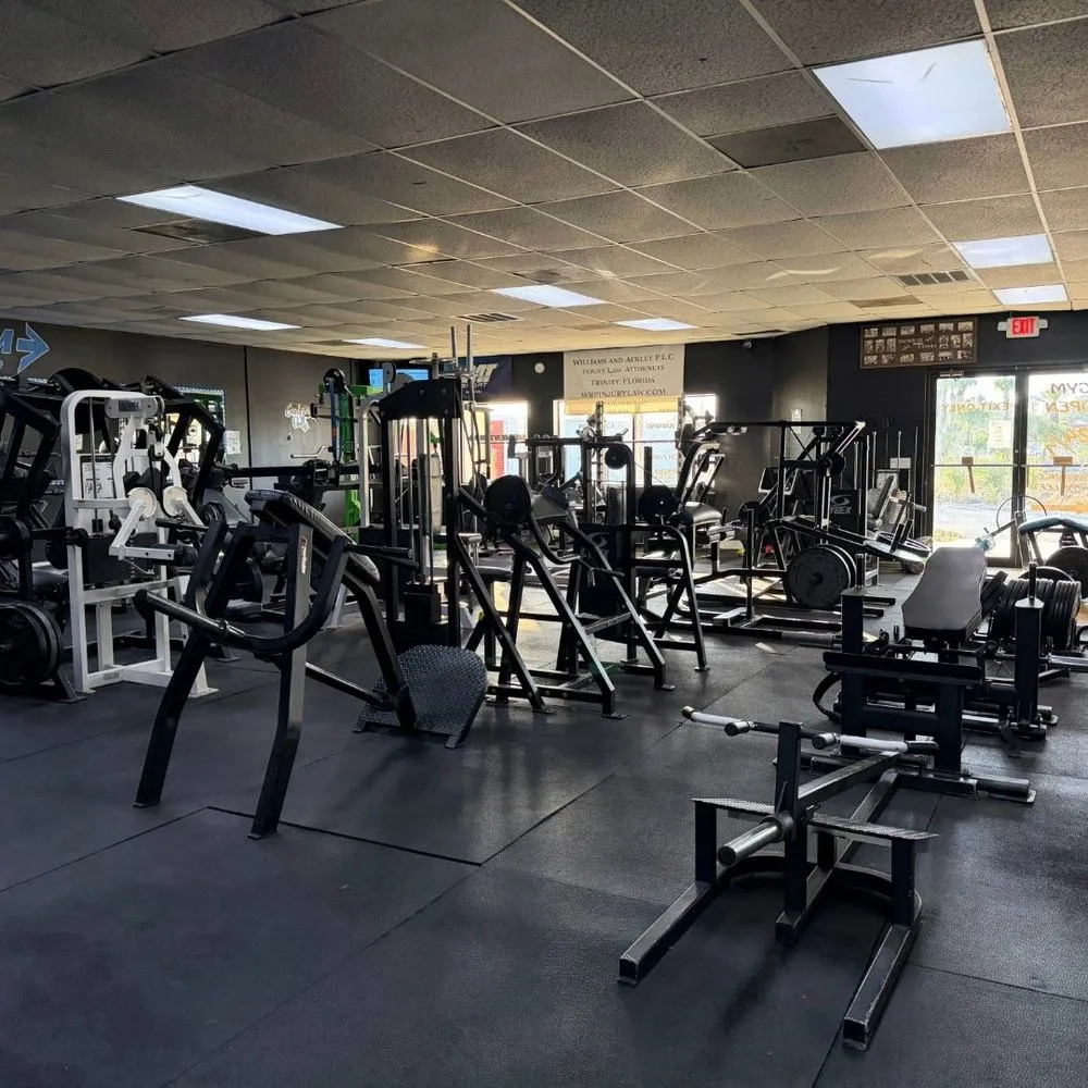 The strength floor at Momentum: racks, plate-loaded machines and dumbbells
